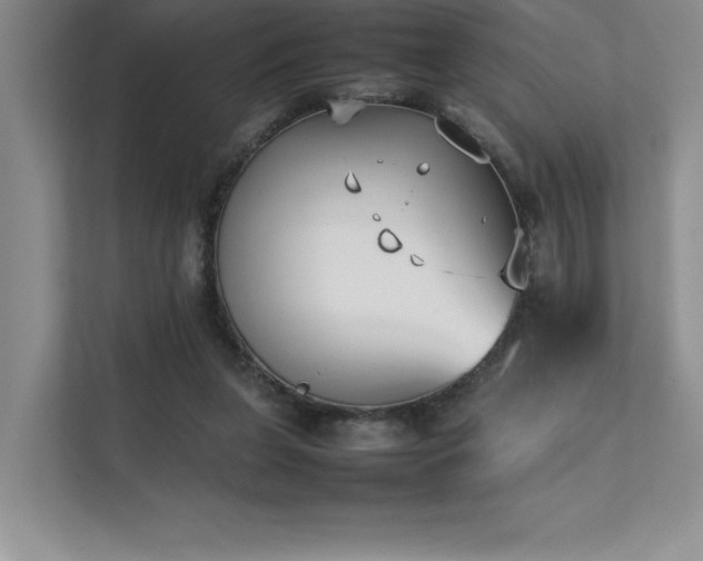 X0000111630255200907171532