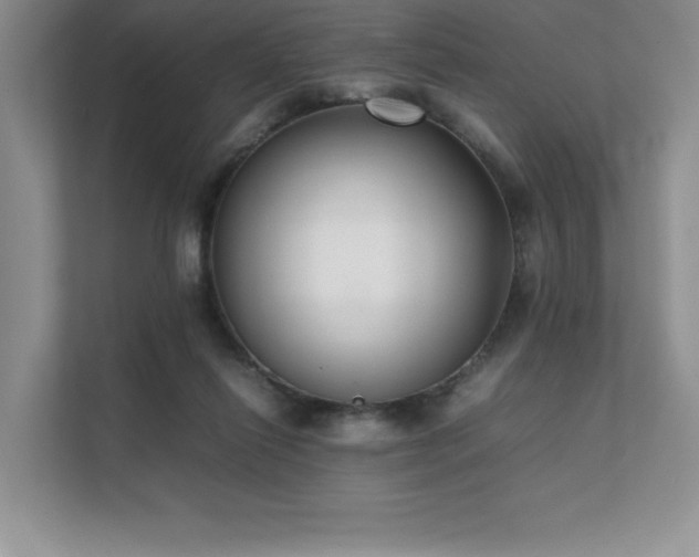 X0000111630262200907171533