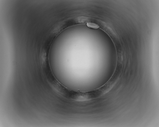 X0000111630263200907171533