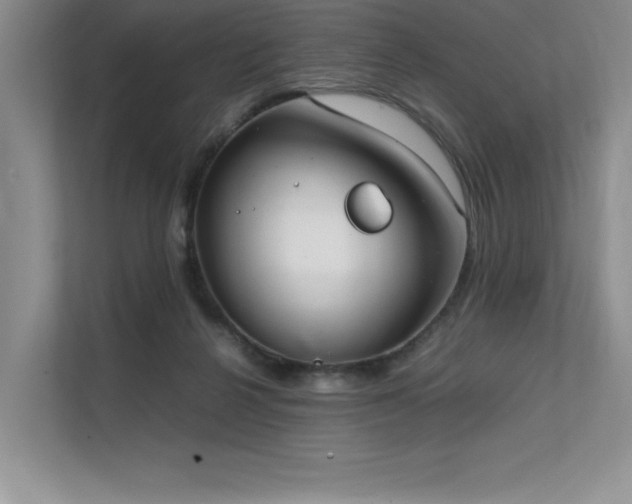 X0000111630264200907171533