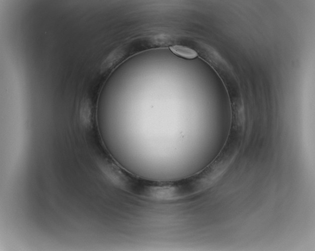 X0000111630266200907171533