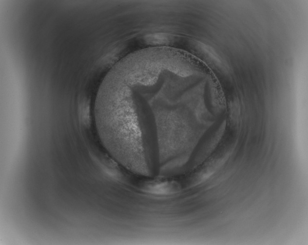 X0000111630267200907171533