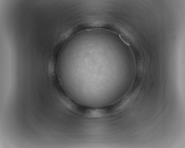 X0000111630268200907171533