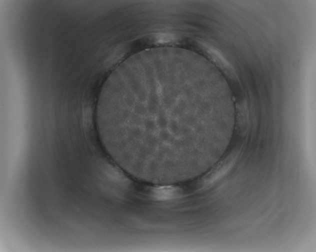 X0000111630269200907171533