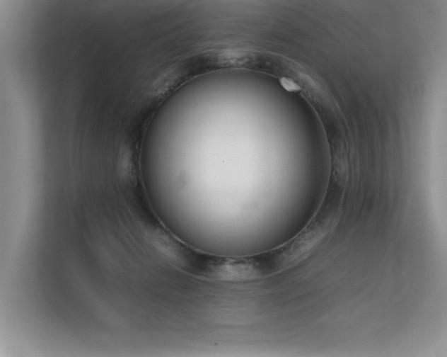 X0000111630270200907171533