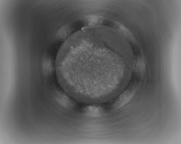 X0000111630272200907171533