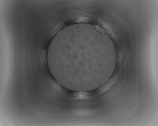 X0000111630273200907171533