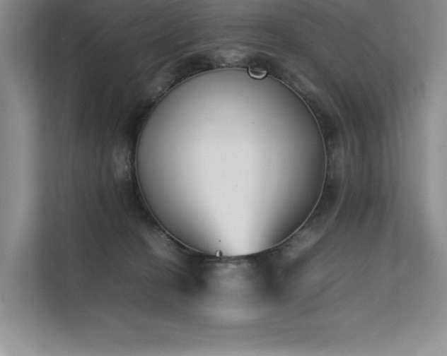 X0000111630274200907171533