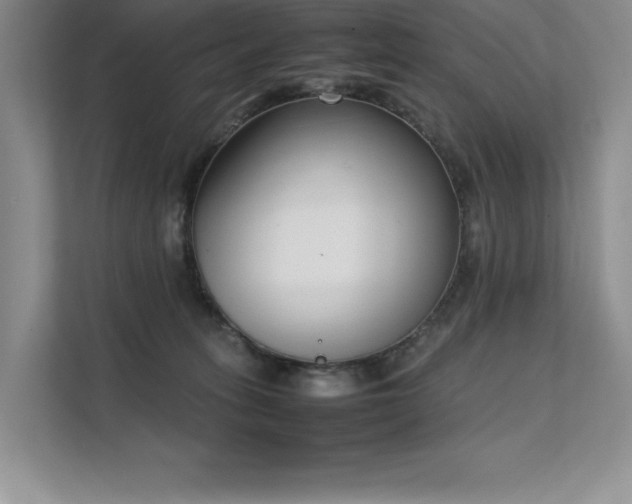 X0000111630275200907171533