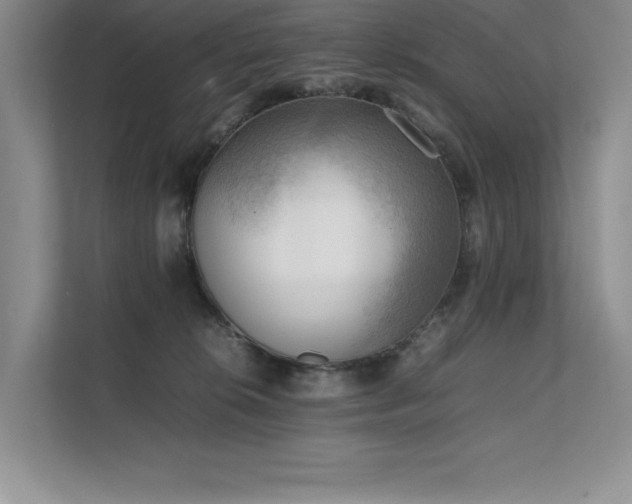 X0000111630276200907171533