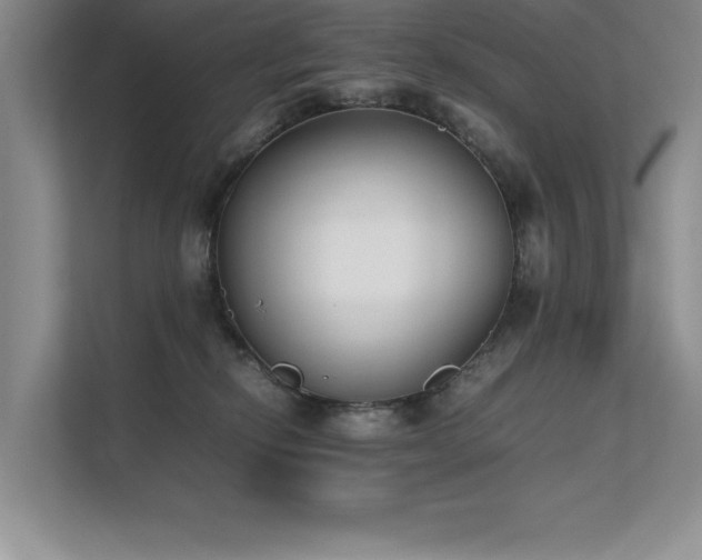 X0000111630278200907171533