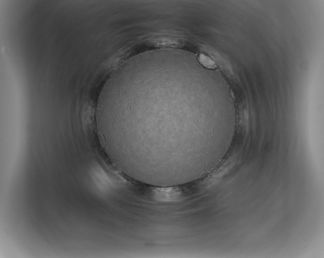 X0000111630281200907171533