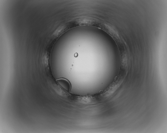 X0000111630282200907171533