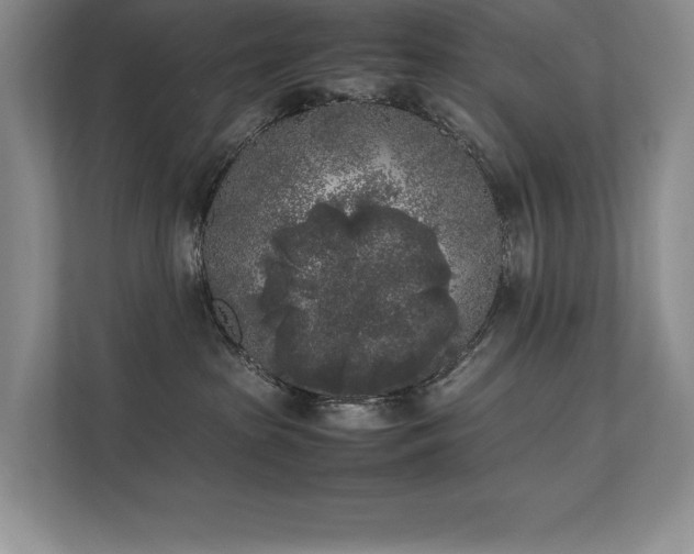 X0000111630285200907171533