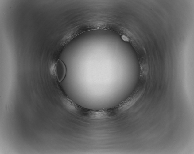 X0000111630286200907171533