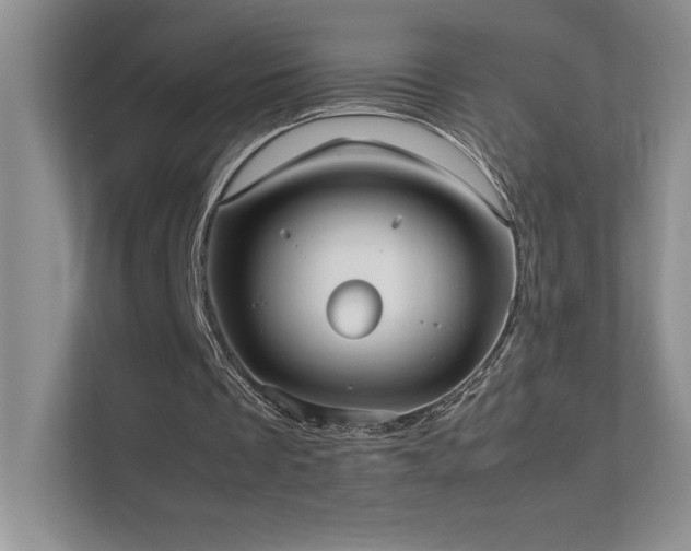 X0000111630289200907171532