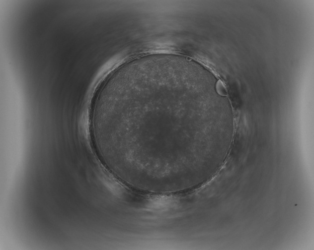 X0000111630293200907171532