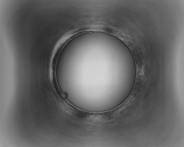 X0000111630294200907171532