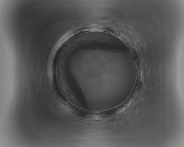 X0000111630295200907171532