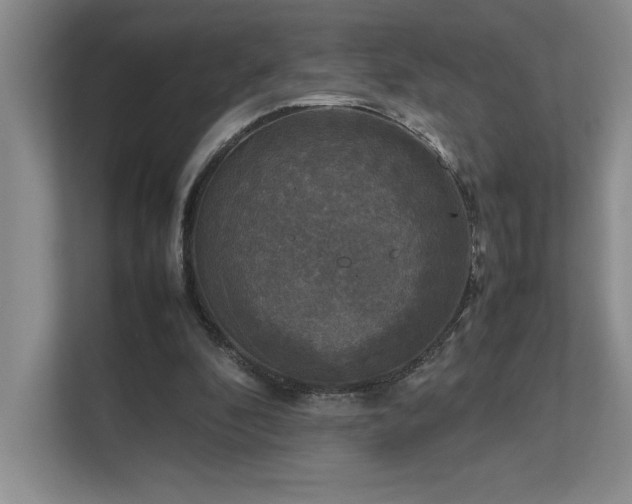 X0000111630296200907171532