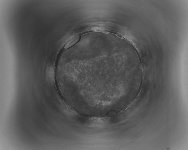 X0000111630297200907171532