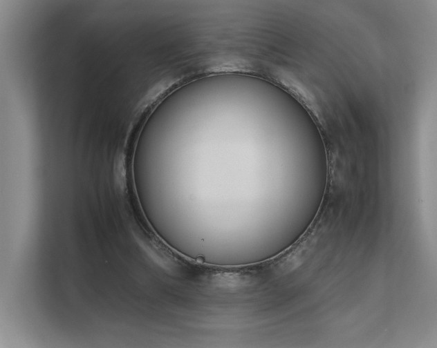 X0000111630298200907171532