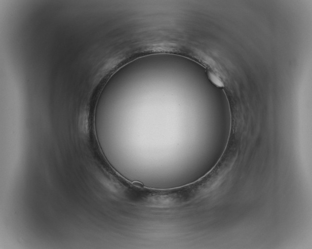 X0000111630299200907171532