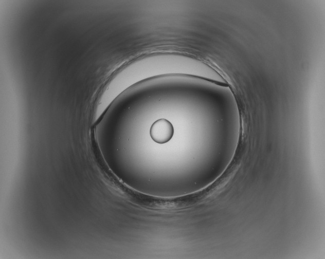 X0000111630301200907171532