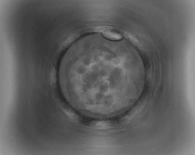 X0000111630303200907171532