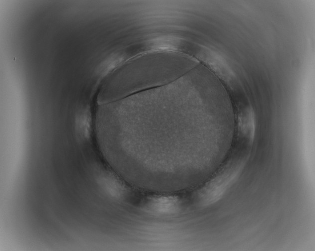 X0000111630304200907171532