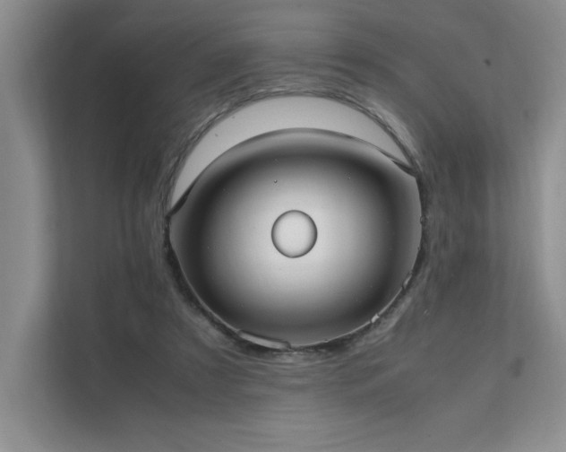 X0000111630305200907171532