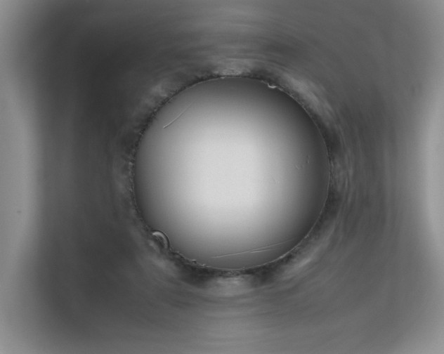 X0000111630307200907171532