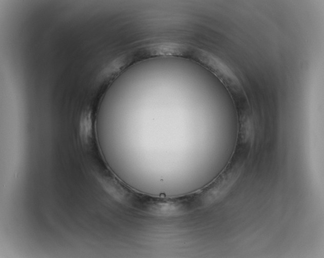 X0000111630310200907171532