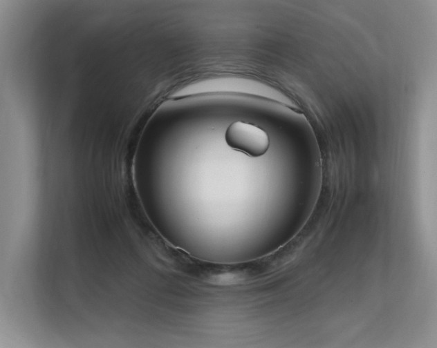 X0000111630312200907171532