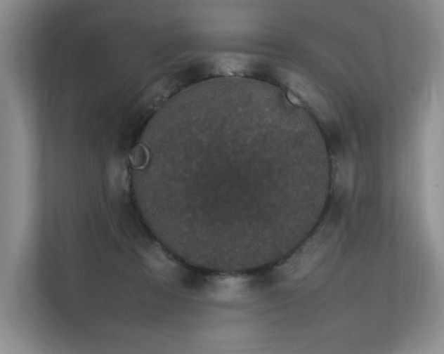 X0000111630313200907171532