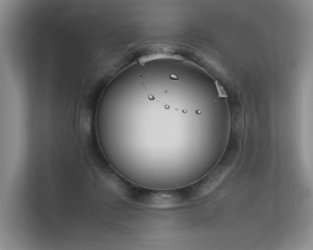 X0000111630315200907171532