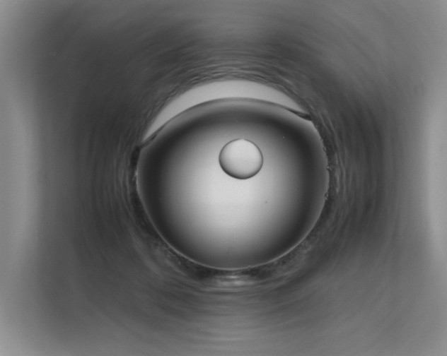 X0000111630316200907171532