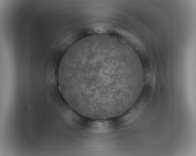 X0000111630317200907171532