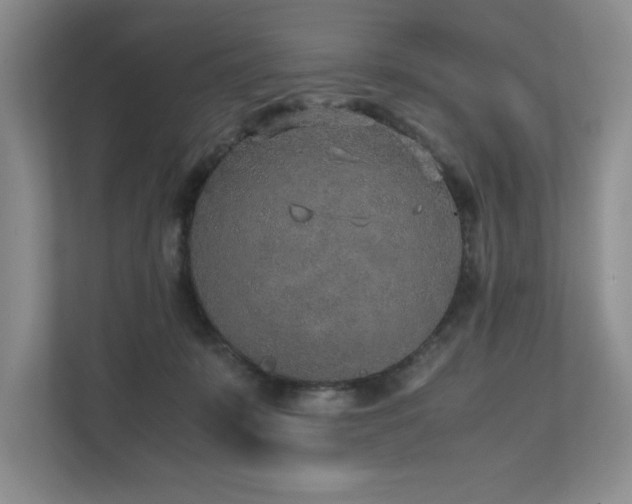 X0000111630319200907171532