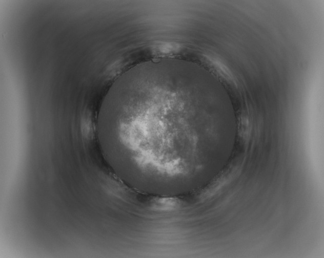 X0000111630324200907171532