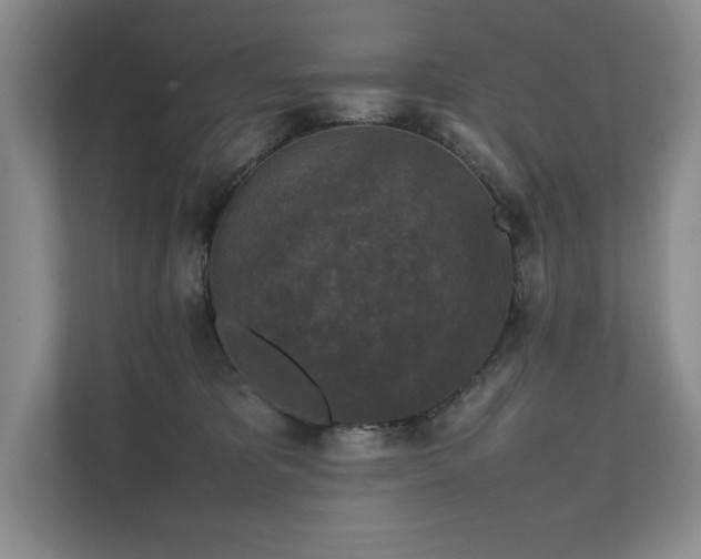 X0000111630325200907171532