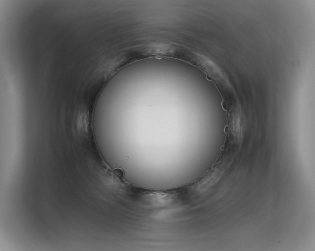 X0000111630326200907171532