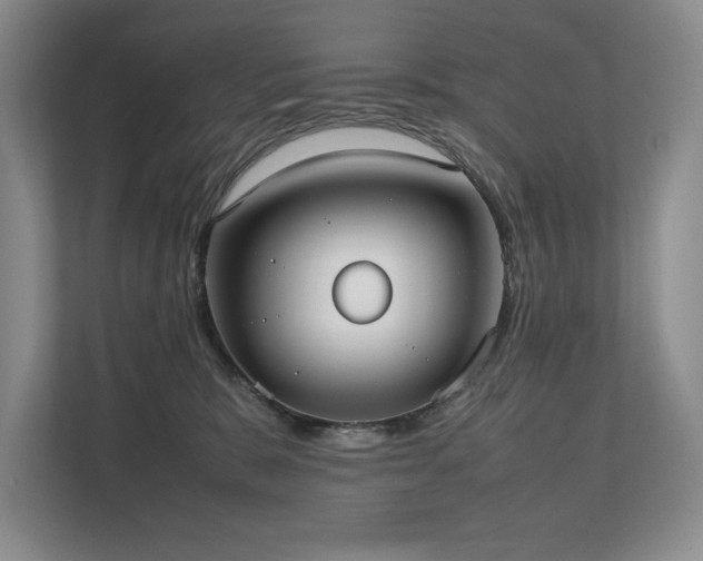 X0000111630327200907171532