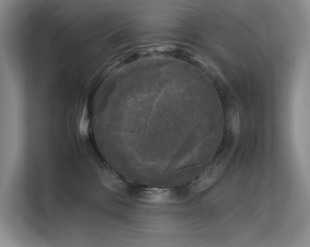 X0000111630328200907171532