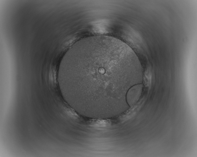 X0000111630330200907171532