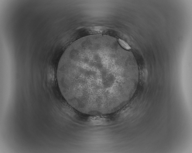 X0000111630331200907171532