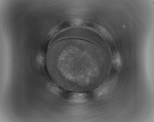 X0000111630332200907171532