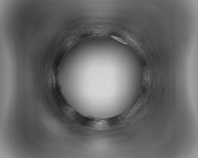 X0000111630333200907171532