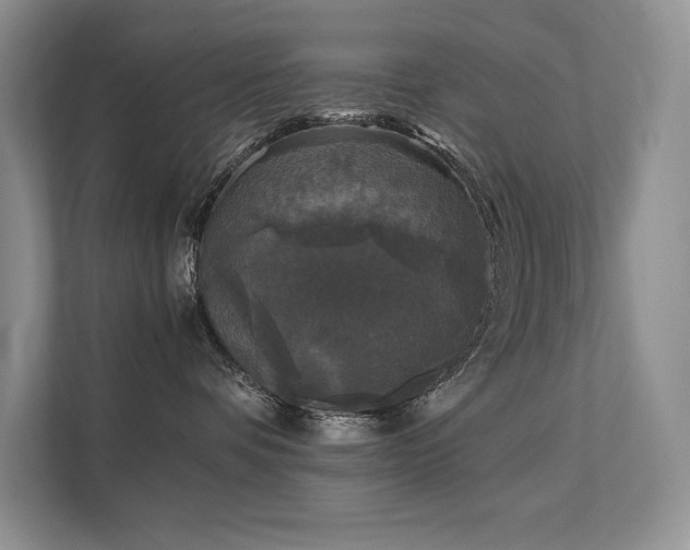 X0000111630336200907171532