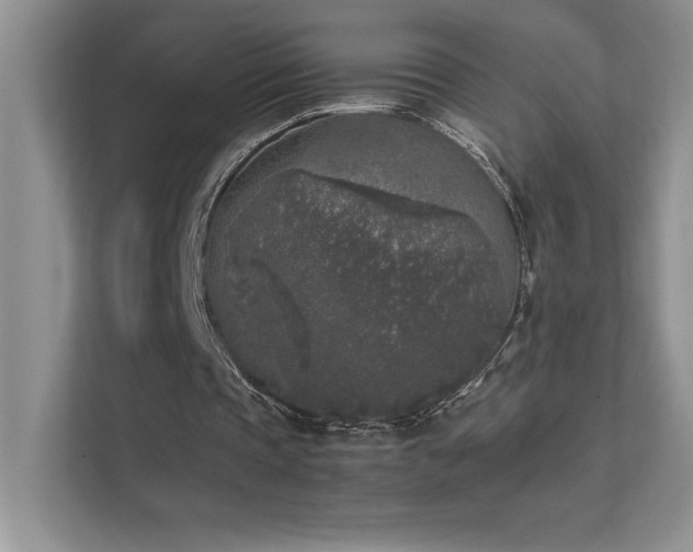 X0000111630337200907171531